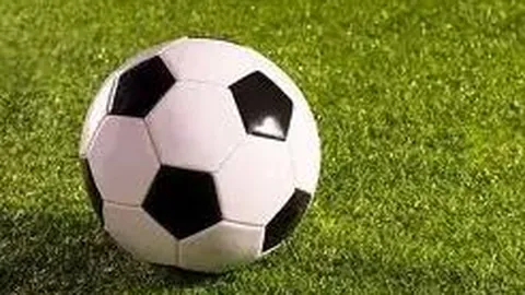 4800股飘红，固态电池与体育板块激增