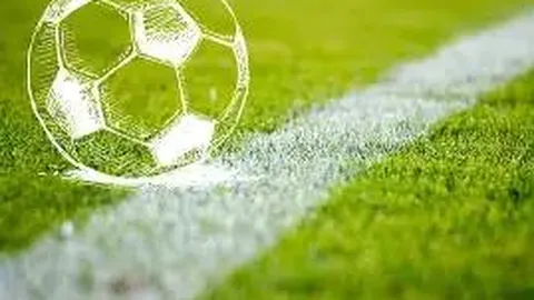 BG真人 (Sports) 资讯 135558 5jb