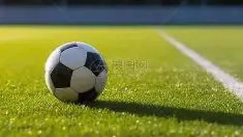 BG真人 (Sports) 产品 135759 pjv