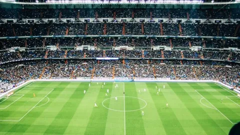 BG真人 (Sports) 产品 105512 74b