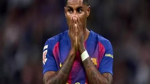 BG真人 (Sports) 资讯 105610 74t