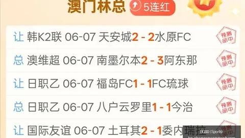 真人 () 221543 0